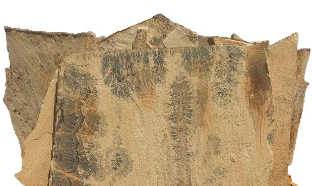 Harvest Blend Flagstone - Natural Patio Stone (Per Ton)