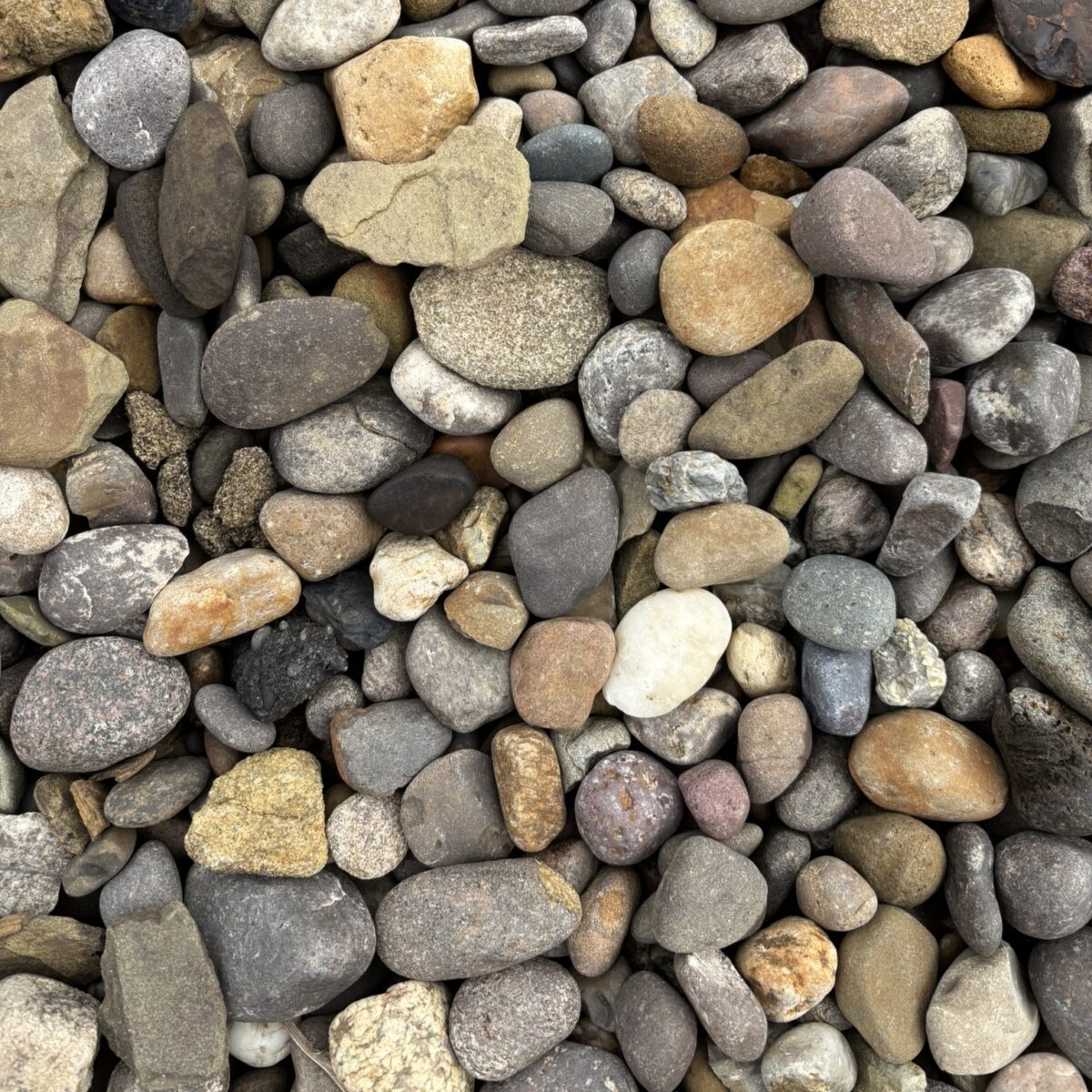 Northshore Blend Decorative Stone – Natural Mixed Gravel (Per Ton)